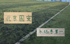 北京国安到底有多强！从五月三十日到9月5日 从1外援单挑5外援 都不败