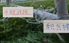 也是高手啦！米内罗昨天刚跟申花解约 今天就官宣加盟巴乙塞阿拉