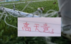 大名单！申花只有高天意 北京国安也是只有归化塞尔吉尼奥入选