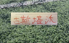 海港出品必是精品 古斯塔沃进球13个 茹萨帮成都领先12分