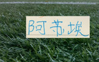 北京国安跟海港都有非洲外援进球 压力也是给到申花的阿苏埃