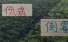 还剩下4场！御三家 +卫冕冠军海港+领头羊成都蓉城 能伤愈复出会是谁