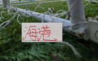 海港间歇期有点低调！隔壁安排友谊赛是打俄罗斯豪门 北京国安成功为亚冠备战多一天