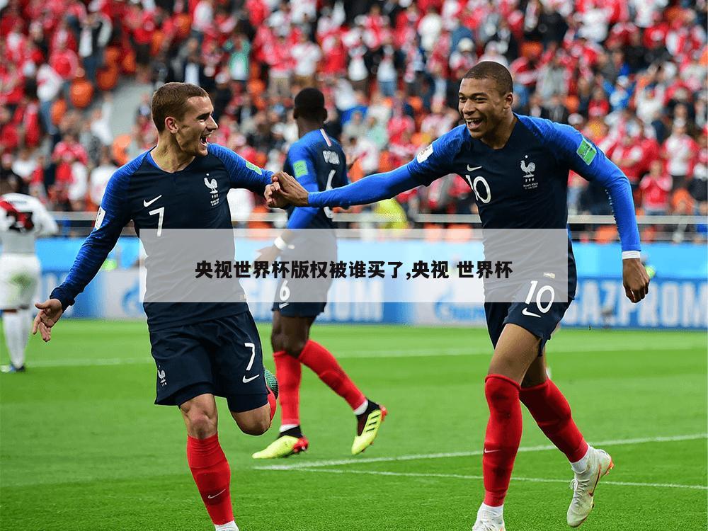 央视世界杯版权被谁买了,央视 世界杯
