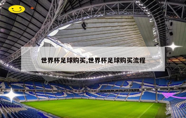 世界杯足球购买,世界杯足球购买流程