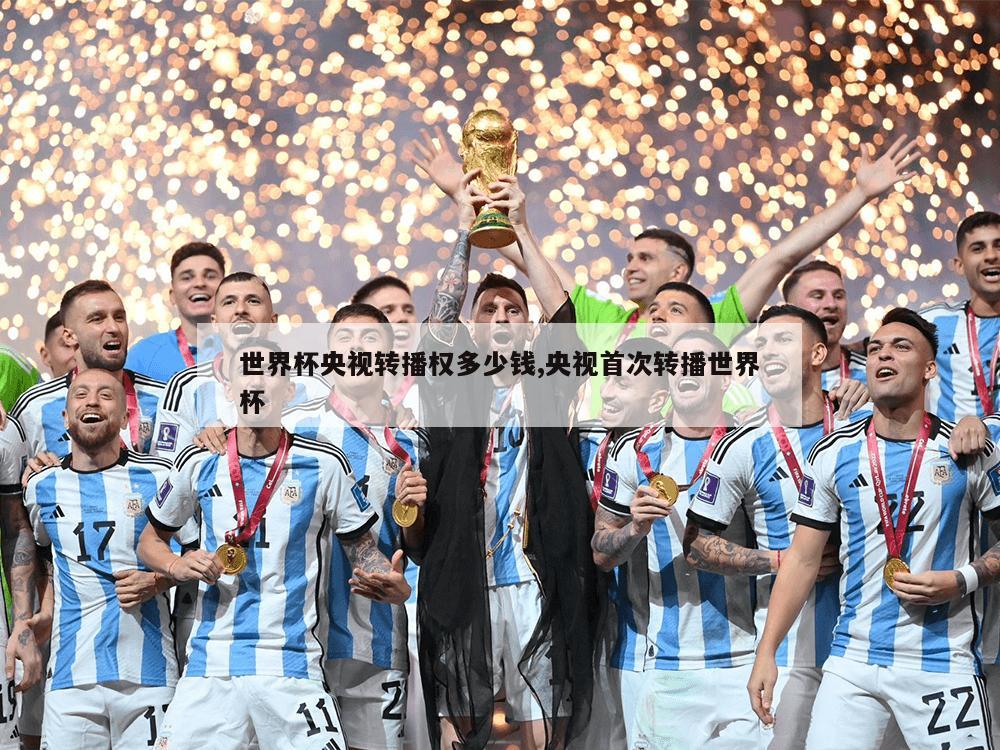 世界杯央视转播权多少钱,央视首次转播世界杯