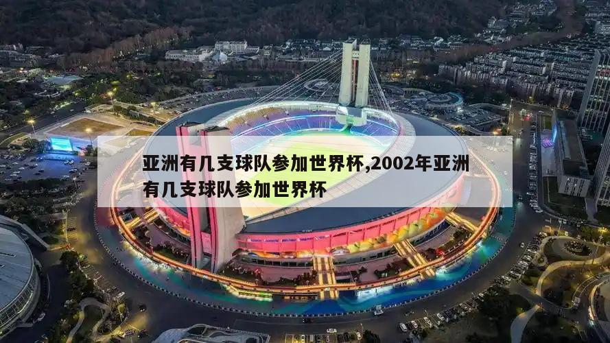 亚洲有几支球队参加世界杯,2002年亚洲有几支球队参加世界杯