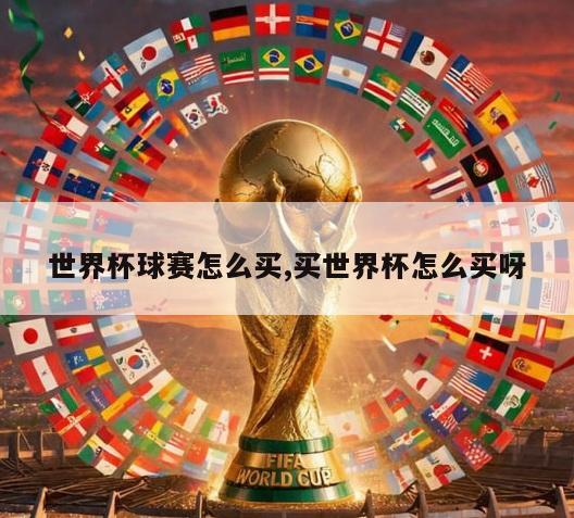 世界杯球赛怎么买,买世界杯怎么买呀